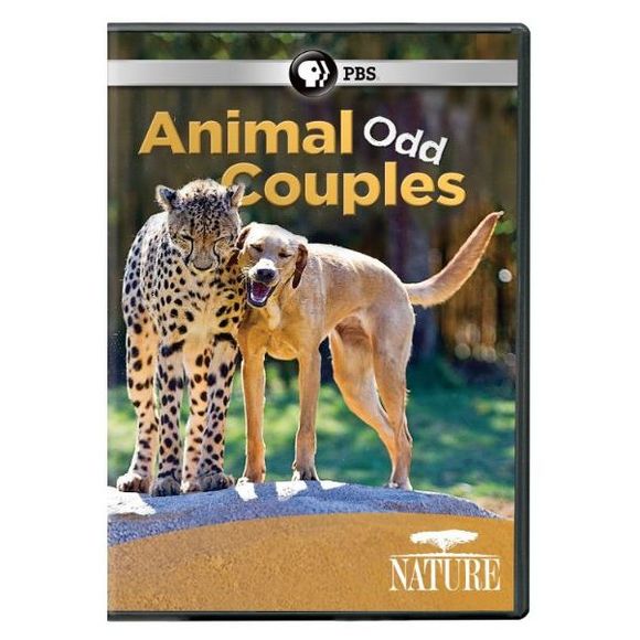 Nature: Animal Odd Couples DVD PBS - Picture 1 of 2